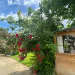 Bed & Breakfast Les Bergeronnettes - D'hotes 3*