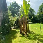 Les Bergeronnettes - D'hôtes 3* Bergerac