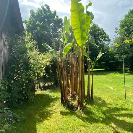 Les Bergeronnettes - D'hôtes 3* Bergerac