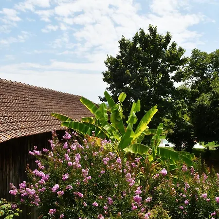 Les Bergeronnettes - D'hotes ברגרק